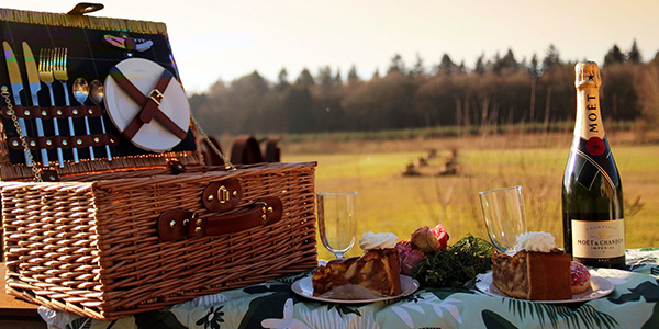 banner womensfavorites picknickmand korting goedko